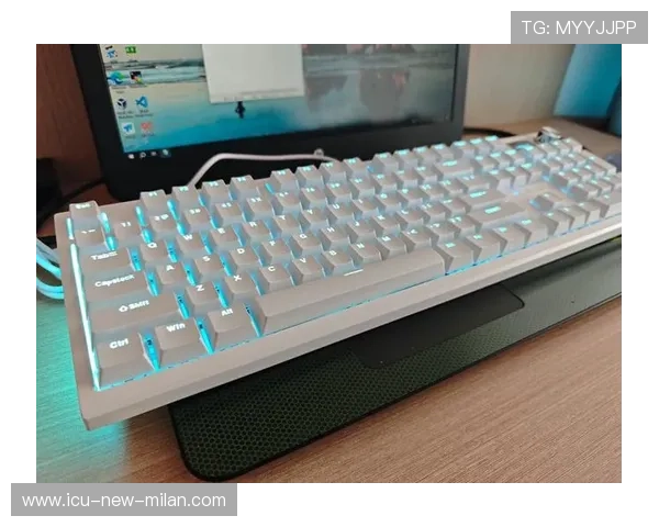 电竞博物馆:鼠标与键盘的退役展品,电竞鼠标的功能键的说明 电竞博物馆:鼠标与键盘的退役展品,电竞鼠标的功能键的说明